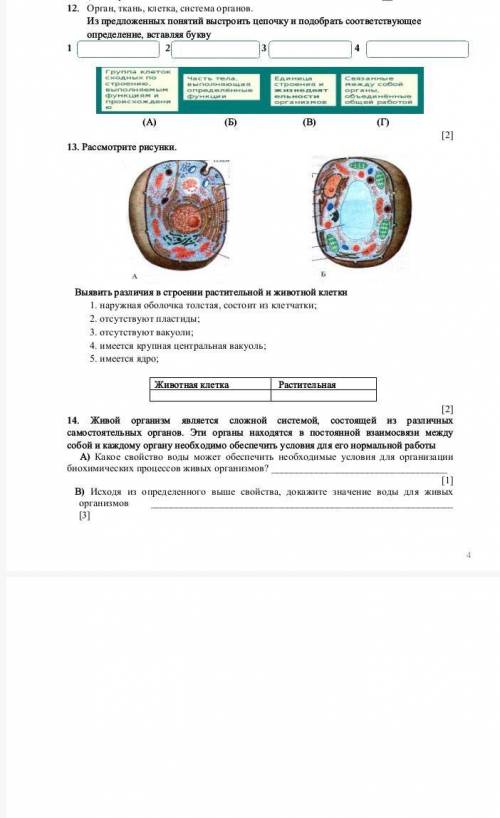 можно правильный ответ ❗❗