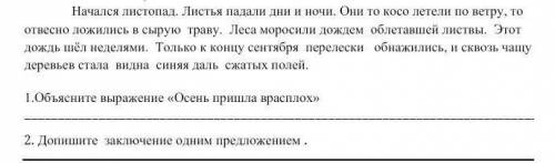 Допишите заключение одним предложением 