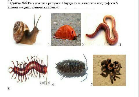 ЭТО ОЧЕНЬ КТО РАЗБИРАЕТСЯ ВАС ОТВЕТЬТЕ​