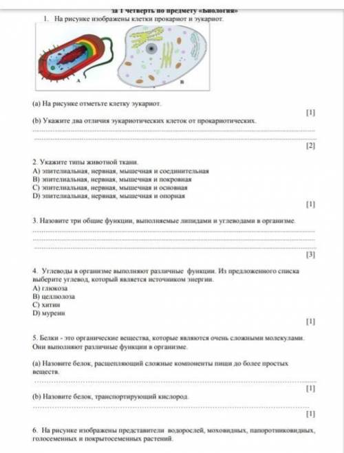 Соч по биологии 8 класс 1 четверть памагите