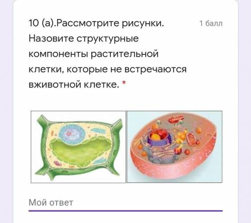 Ээ клетка растения 2.чья ?..