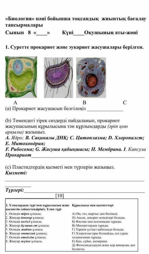 Отиниш тупой бериндерш керек болп тур