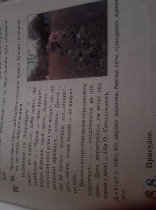 Куда слова из справки вставлять?