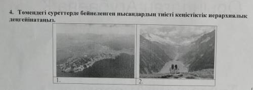 Томендеги сурреттерде бейнеленген нысандырдын тиисти кенистик иерархиялык денгенатыныз