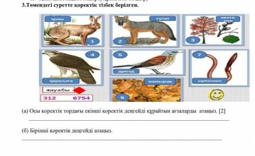 Бірінші қ,оректік деңгейді атаныз