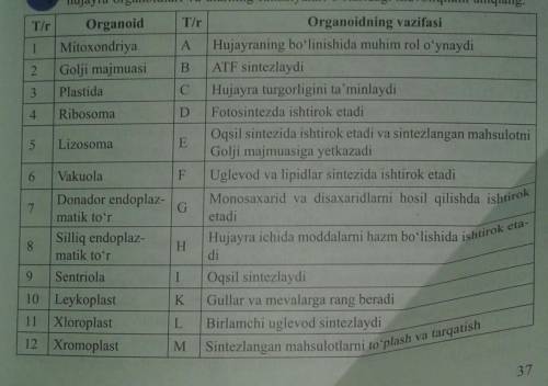 Organoidning vazifalari??
