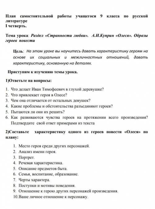 План самостоятельной работы литературы 9 класс​