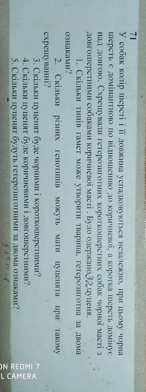 решить задачу по генетики