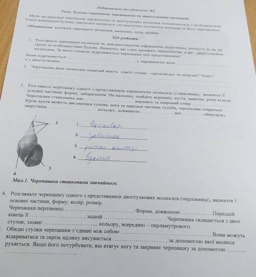 Сделайте лабораторку по биологии 7 класс