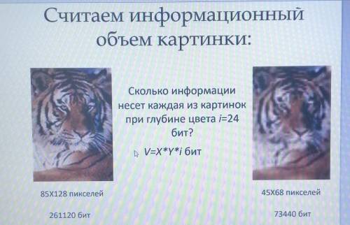 Сколько информациии несет каждая из картинок при глубине цвета i=24 бит? V=x*Y*i