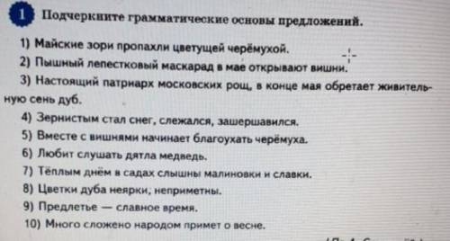 Выдели грамматическую основу предложения