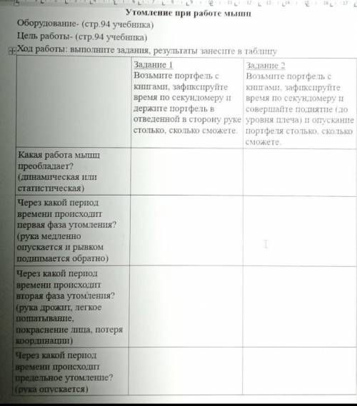 Лабораторная работа. Мышцы человеческого тела 
