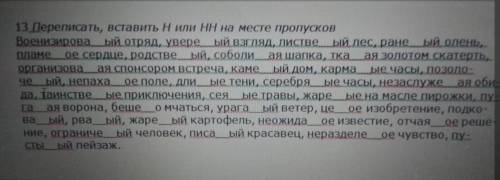 с русским (не успеваю) Нужно вставить одну или две -н-