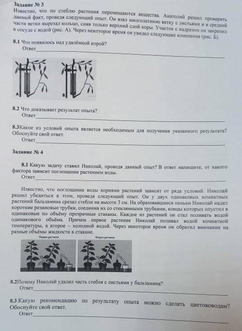 Можете дать ответы на все вопоосы?