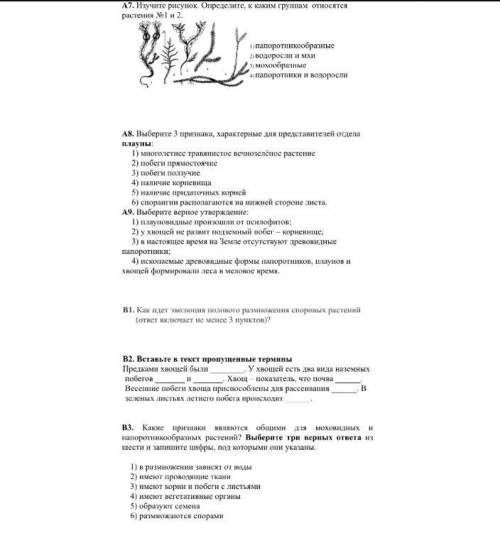 ЗА СПАМ БАН в фото написано УМОЛЯЮ
