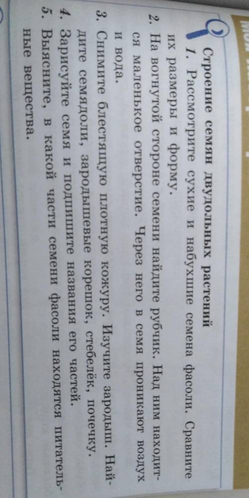 До сдачи осталось полчаса 