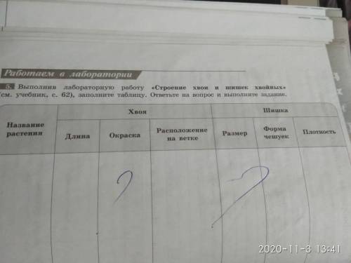 Рассмотрите форму, размеры, окраску шишек разных растений. Заполните таблицу