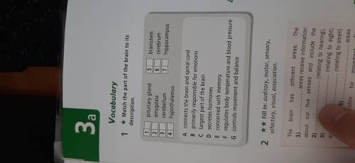 Match the part of the brain to its description.