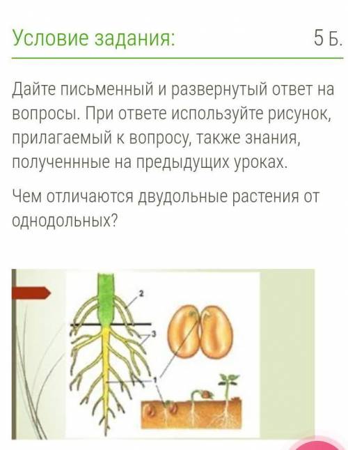 Помгите потратить время на меня(
