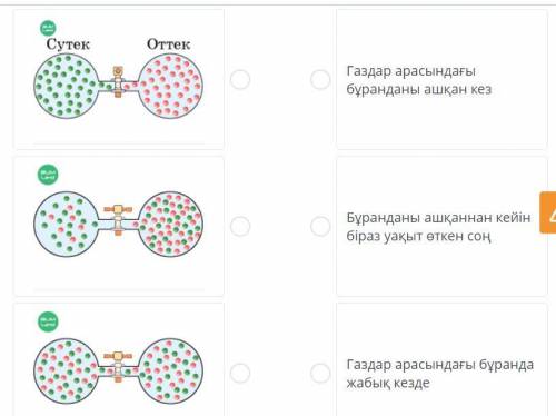 Определите, как происходит процесс распространения в течение определенного периода времени.Сопоставь