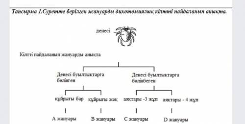 Суретте берілген жануарды дихотомиялық кілтті пайдаланып анықтакөмектесіндершіі