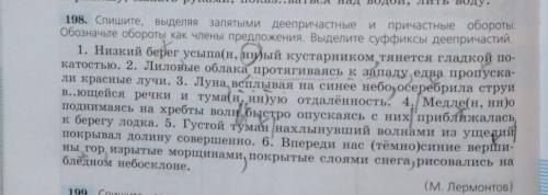 Спишите, выделяя запятыми деепричастные и причастны обороты. Обозначьте обороты как члены предложени