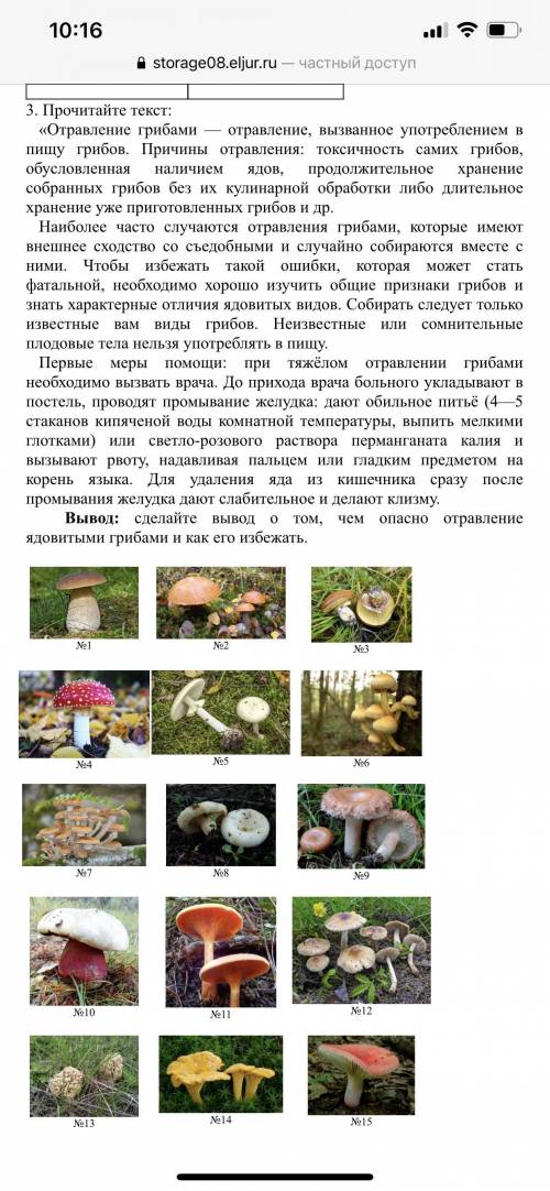 Заполнить под каким номером ,какой гриб ?