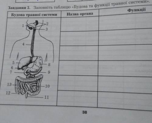 Заповніть таблицю будова та функції травної системи