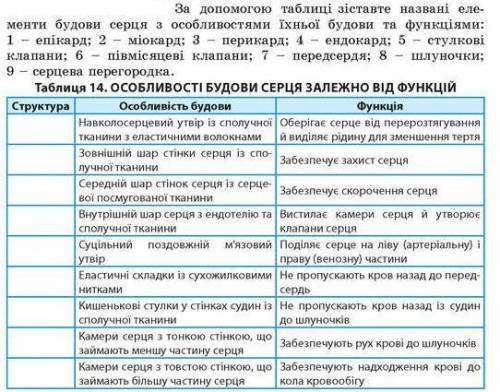 Вставити правильні назви частей серця.