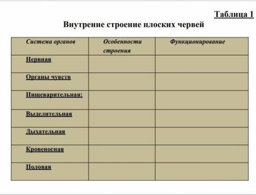 Внутрение строение плоских червей