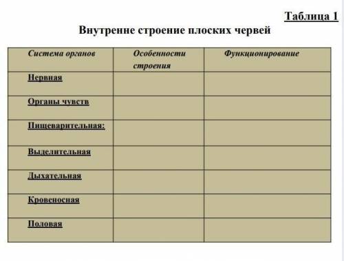 ВНУТРЕННЕЕ СТРОЕНИЕ ПЛОСКИХ ЧЕРВЕЙ