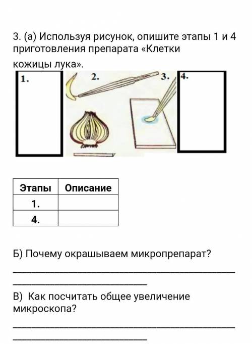 Сор по биологии оч много 