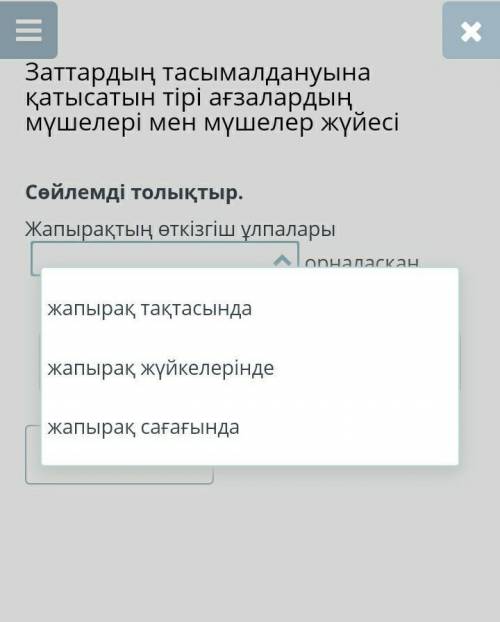 Сөйлемді толықтыр.Жапырақтың өткізгіш ұлпалары орналасқан.​