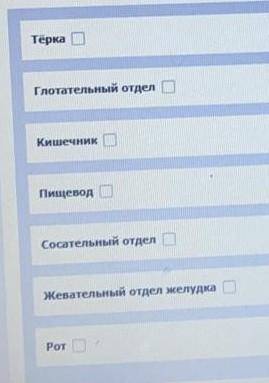Вставьте пропущенные слова :Желудок... - Анальное отверстие. ​