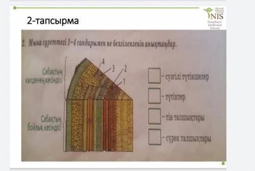 Мына суреттегі 1-4 сандарымен не белгіленгенін анықтаңдар. 