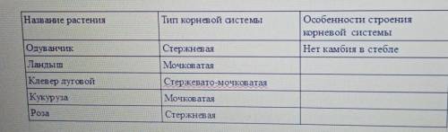 до делать таблицу! Мне её через пол часа отправить надо! 