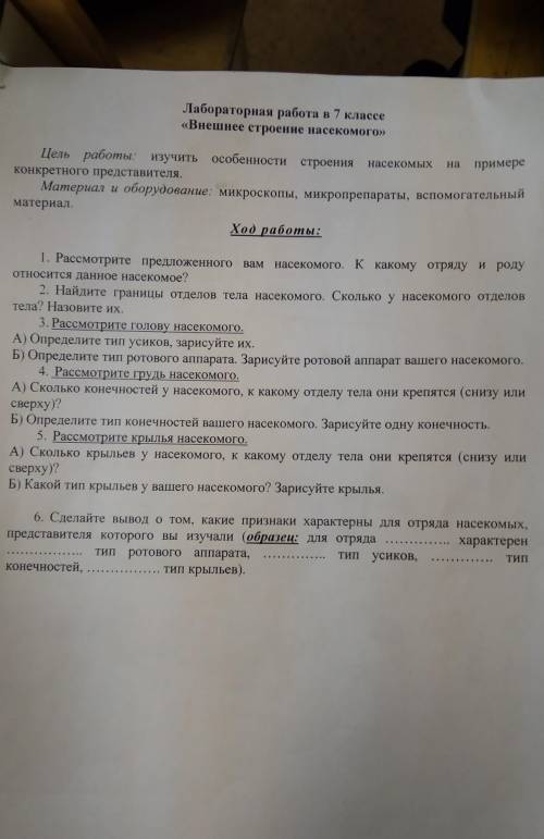 Решите лабораторную работу по биологии (насекомое сверчёк