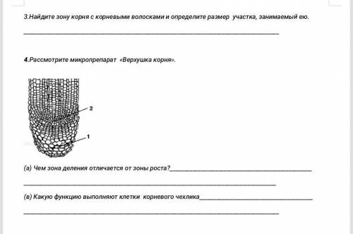 Решите лабораторную работу.