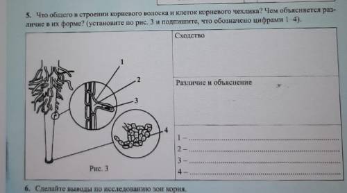 Здравствуйте по биологии Очень надо