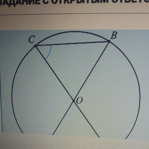 Отрезки AB и CD- диаметры окружности.Докажите ,что угол ADC=углу BCD нужно 