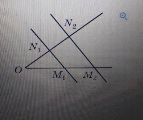 На малюнку m1n1 паралельно m2n2, ON=N1N2, OM2=16CM.знайдіть нужно контрошу к вечеру зделать