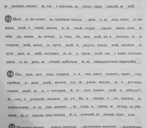 Напишите только 14 задание