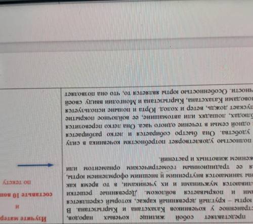 Изучите материалсоставьте 10 вопросов
