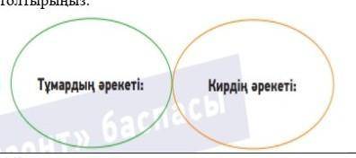 Мәтіннің  мазмұны  бойынша  диаграмманы  толтырыңыз. ​