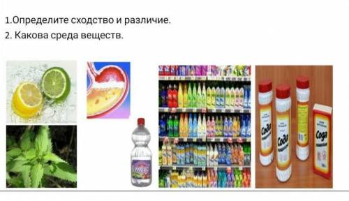 1.Определите сходство и различие.2. Какова среда веществ.