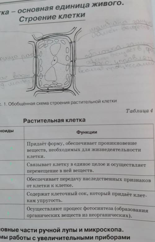что вписать где зеленые точки?
