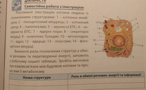 заполнить таблицу будьте так добры