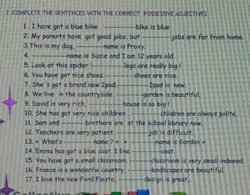 2. COMPLETETHE SENTENCES WITH THE CORRECT POSSESSIVE 