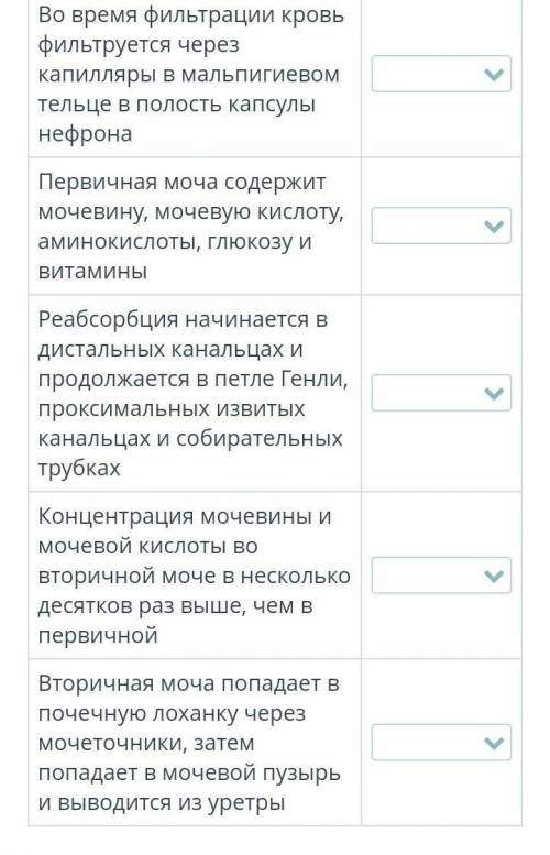 Определи, верны ли предложенные утверждения.