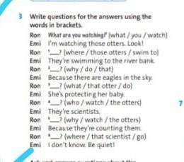 Write questions for the answer using the words in brackets 
